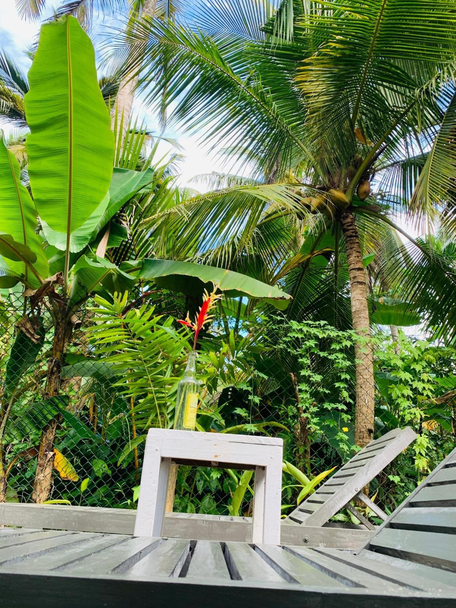 White Heaven Villa أونا واتونا المظهر الخارجي الصورة