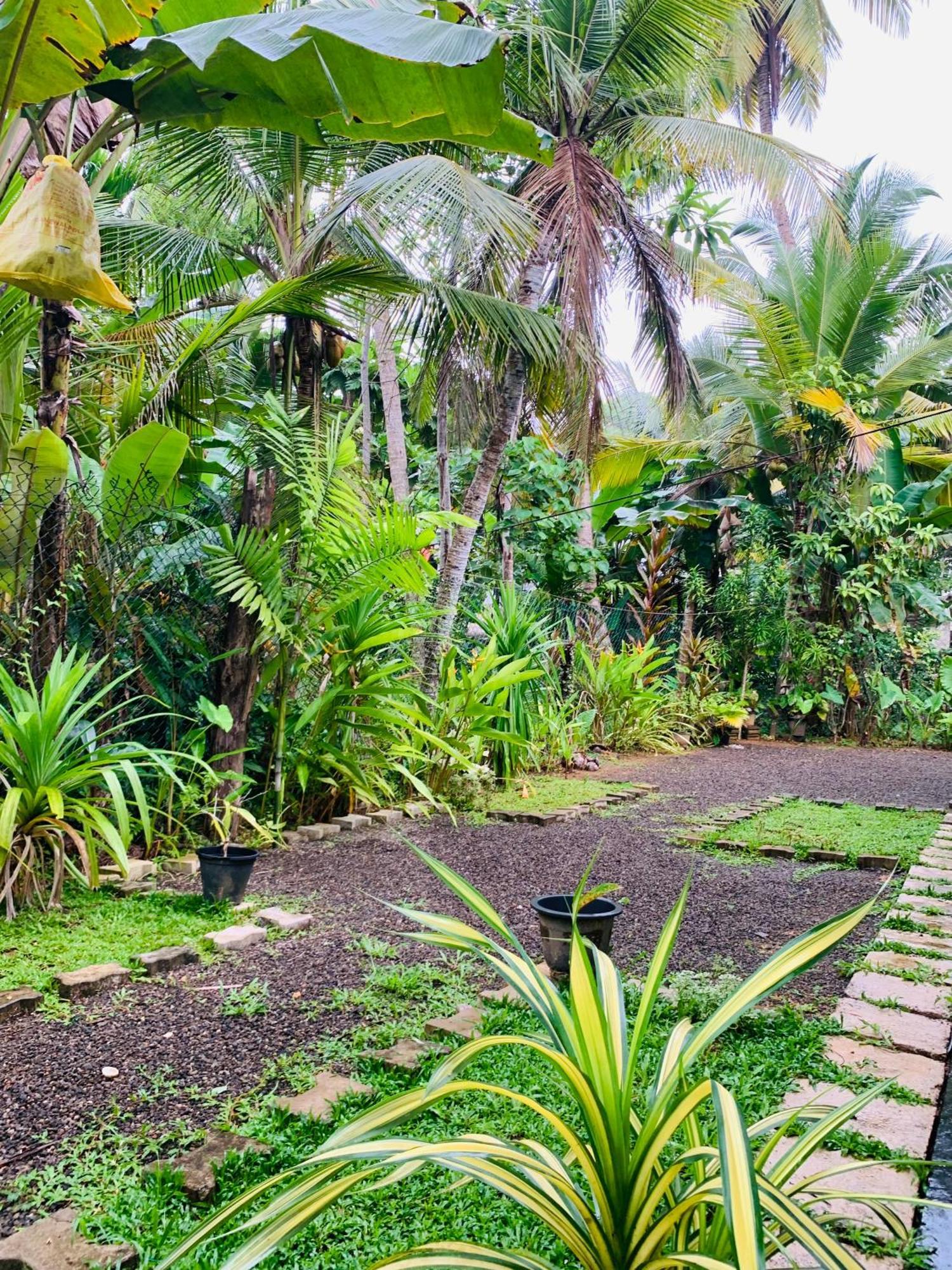 White Heaven Villa أونا واتونا المظهر الخارجي الصورة